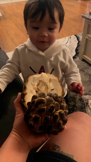 Custard apple - rich in vitamin C, B6, and B3, along with minerals like potassium, magnesium, calcium and protein. | Canadian VS. Filipino