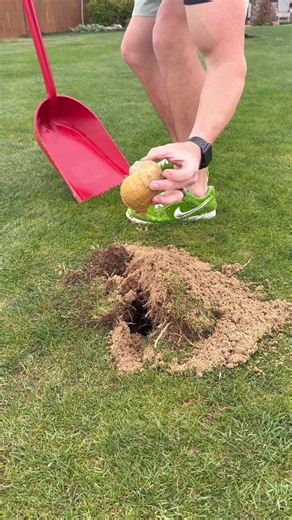 #LawnRenovation | Mowing The Lawn