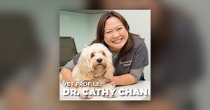 Vet Profile: Dr. Cathy Chan, The Animal Doctors - This Podcast Has Fur And Other Coverings