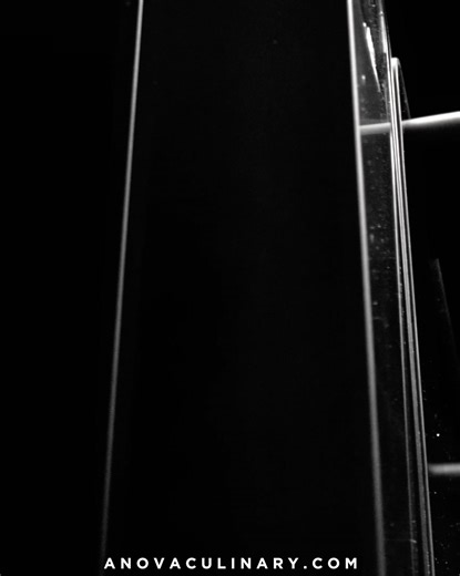 Meet the Anova Precision™ Oven 2.0 -- A countertop oven powered by precision, steam, and Anova Intelligence. | Anova