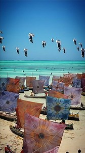 86K views · 254 reactions | No AI! This is Project FOCUS. Will you...