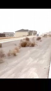 158K views · 1K reactions | ### Viral Caption: "America's rolling invaders!  Discover the unstoppable tumbleweed causing chaos across the country. #science #reelusa #reelsfbシ #sciencefacts | Manish Kumar Gupta | Facebook