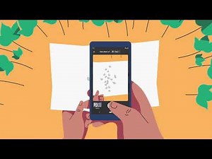 How to monitor your cotton for pests