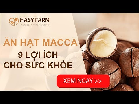 Hạt mắc ca có tác dụng gì? 9 lợi ích tuyệt vời của hạt macca đối với sức khỏe
