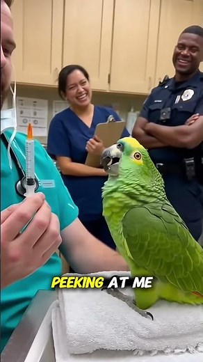 Parrot Freaks Out at the Vet Over a Tiny Shot 😂🦜 | TheRealBeako