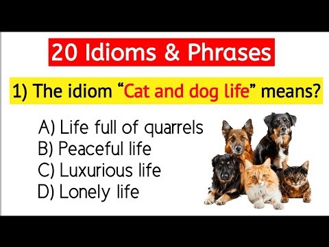 20 Idioms & Phrases 🔥| Proper Explanation | Idioms Exercise | English Vocabulary | Competitive Exams