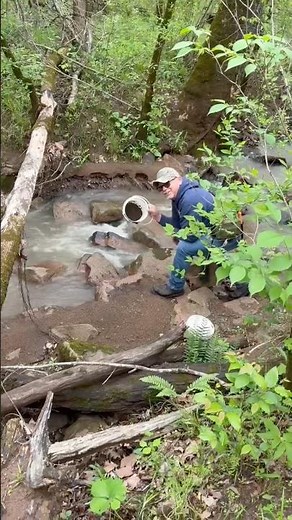 Gold Prospecting after a heavy rain deep in the Ozarks of Missouri