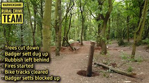 Badger sett destruction/damage and woodland felling!! Our team has been made aware of a Badger sett that has suffered significant damage and destruction, offenders have caused the damage in the process of creating an unauthorised bike trail at Newbold Comyn Over 50 trees have been felled or limbs removed in the area with other trees having markings carved into the bark. Offenders have dug out a badger sett to create a 7 foot deep hole, soil from the hole has been used to create jumps and berms a