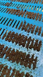 2.7K views · 55 reactions | Propolis collection  - - - - #honeybee #honey #bee #bees #beekeeping #savethebees #honeybees #beekeeper #beirutlebanon #honeycomb #beesofinstagram #beehive #apiary #beekeepers #pollen #macro #maduasli #flowers #lebanon #apiculture #beekeeperslife #bienen #rawhoney #pollinators #insects #biene #imker #honig #apismellifera #nafura | Bee to Z | Facebook