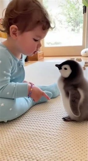 Baby said No sliding on my floor penguin 😂🤣