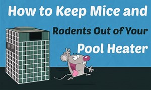 How to Keep Mice Out of Your Pool Heater
