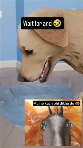 Expectation: wait for end 😅 😱😂 Jab Kuch Samajh Na Aaye… Bas Dekh Lo! 🤯🔥!!