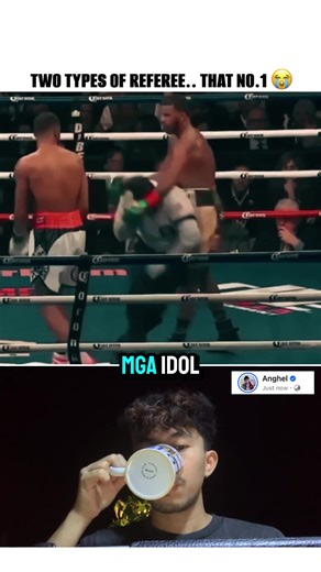 Two Types of Referees in Sports