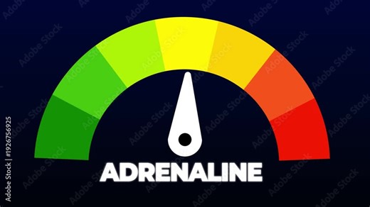 adrenaline Level Measuring animation.4K motion animation.