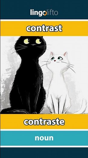 🇬🇧🇪🇸 contrast - contraste : learn English : aprendamos inglés : vocabulary builder