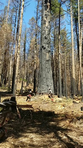 jamesslack46 james slack on TikTok