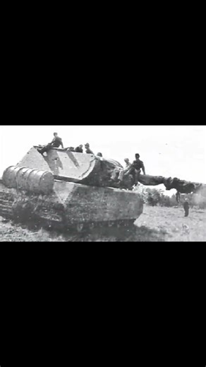 The 188-Ton Monster: German Maus 🇩🇪 #shorts #tanks #history #military #germany#maus #panzer