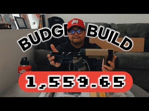 FIRST BUDGET AR BUILD (forgot to mention the Rise armament 140 drop in trigger)