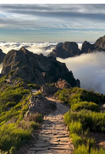 Explore Madeira's Breathtaking Hiking Trails