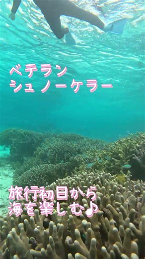 【石垣島】ご旅行初日は半日シュノーケリング♪3月3日ツアー動画