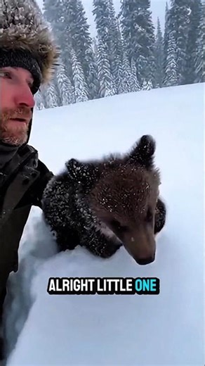 He Let the Bear Cub Go Into the Snow ❄️🐻 | Real Footage Short #shortsfeed #short #shorts