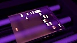 Electrophoresis and Gel Analysis | PBS LearningMedia