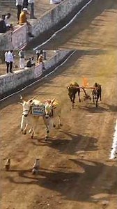 लांडेवाडी नारोडी फाटा २०२६ पहिला दिवस फळीफोड भाऊसाहेब हनुमंत पोखरकर (पिंपळगाव) ११.७८ मिली