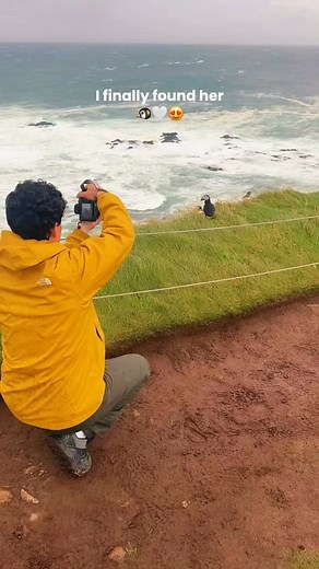 Did you know that we have a map on our website of the best places to ser the puffins in Iceland? 😍 📸: @onlythenico #iceland #icelandtravel #icelandtravelguide #puffins | Iceland Travel Guide