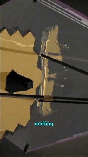 Ocean Worlds Under Hydrogen Skies? 🌊 Alien Life?