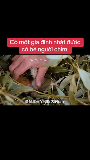 Tài khoản được đề xuất