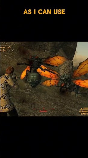 Best Camera Enhancement Mod For fallout New Vegas