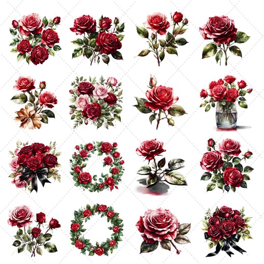 Watercolor Roses PNG Clipart Bundle, Rustic Floral Illustrations (digital Download) - Etsy