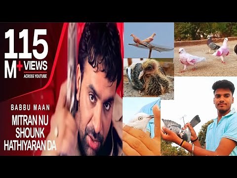 Ek shaunk kabootar bazi da || Hit Punjabi song || Babbu Maan || Full video song || Kabootar bazi