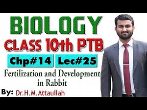 Fertilization and development in rabbit | Chapter # 14 | Biology Class 10th | Lec# 25
