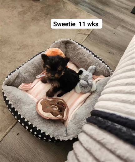 Enetta Jones on Reels