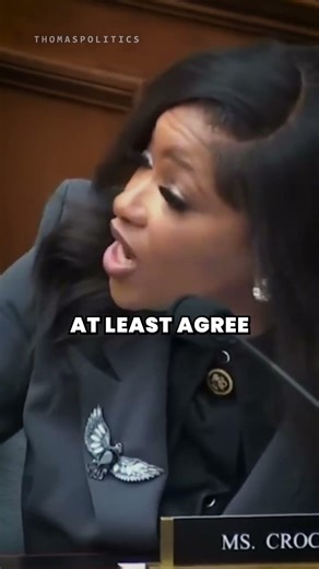 Jasmine Crockett's Lgendary Grilling of Republicans #shorrts #jasminecrockett