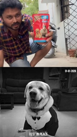 Mr Decoder on Instagram: "Chottu RIP 💔 Vj Siddhu Vlog @mrchottu__ #chottu #vjsiddhuvlogs #mrdecoder"