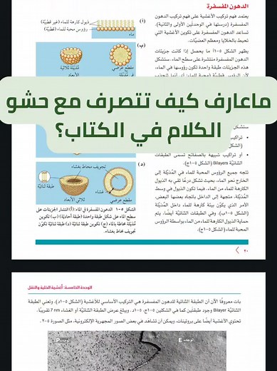 ملخصات شاملة لمادة الأحياء للصف الحادي عشر