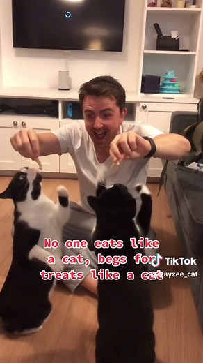 Kitty and the beast?! 😸 #disney #beautyandthebeast #parody #cats #beourguest #gaston