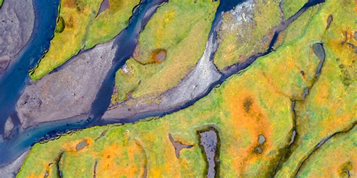 Natural Capital Alliance Data Hub