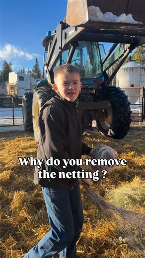 Crazy Creek Ranch | Why do you remove the netting from the bails before putting them in the feeder? 🐄 Animal safety • Cattle, sheep, and horses will eat the... | Instagram