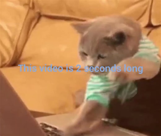 daily dose of dumbasses (@dumbshitdeluxe)’s videos with original sound - daily dose of dumbasses