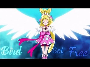 ¤Reupload¤ [AMV PreCure] Bird Set Free