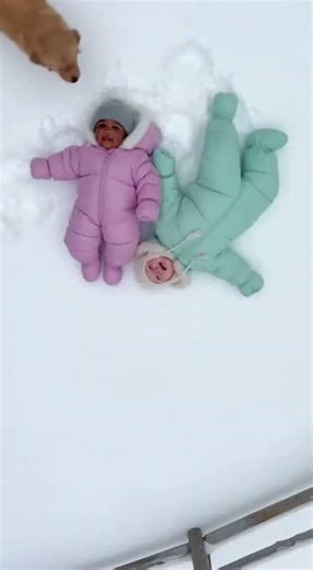 Marshmallow Fail! 😂 Puppy Knocks Over Puffy Babies in Snow #Shorts #funnyfails