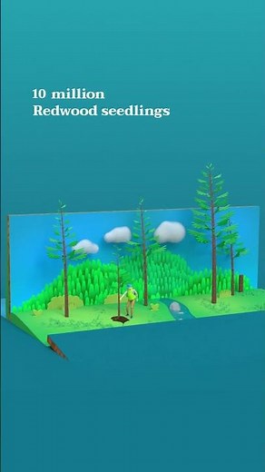 Redwood: Building More (Pergola :30) #shorts #wood #redwood #pergola #fsc