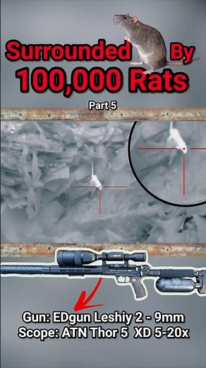 You're trapped in a rat infested warehouse... what's better, night-vision or thermal