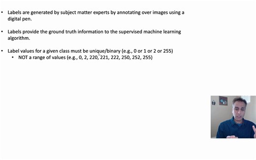 Label Studio教程Labeling images for semantic segmentation using