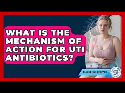 What Is The Mechanism Of Action For UTI Antibiotics? - Bladder Health Support