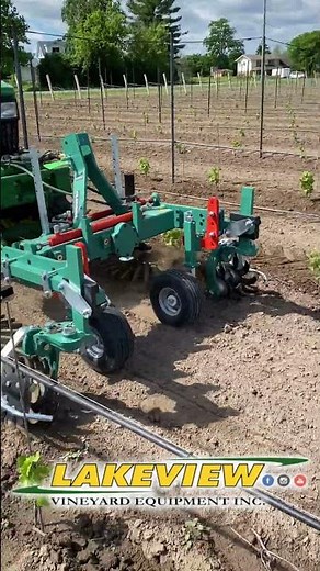 Clemens Finger Weeder working in Young Vineyard