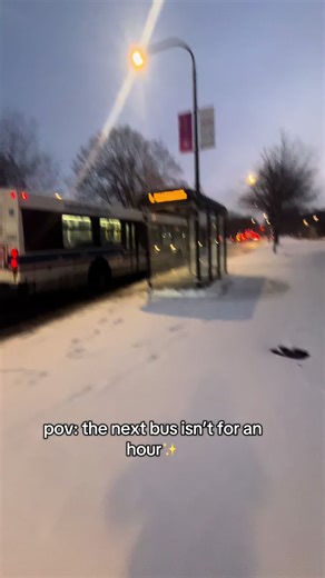 Navigating the Challenges of Commuter Life in Chicago